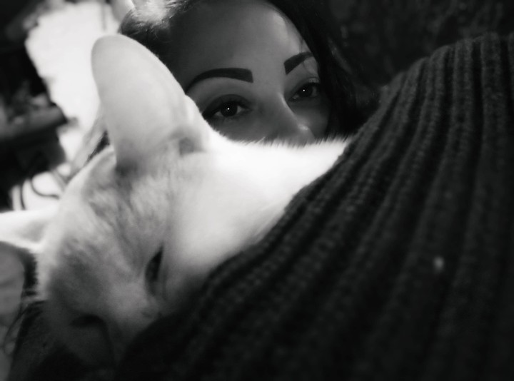 cat love