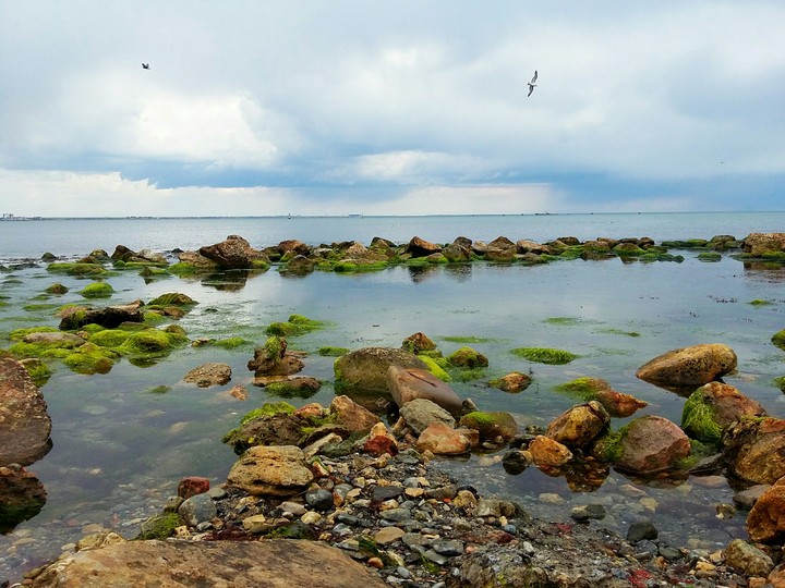 Море
