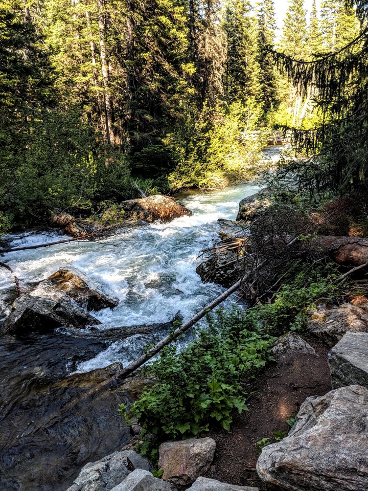 Stream