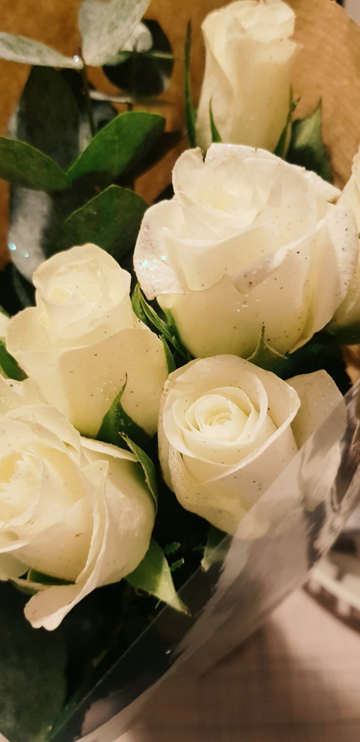 Roses