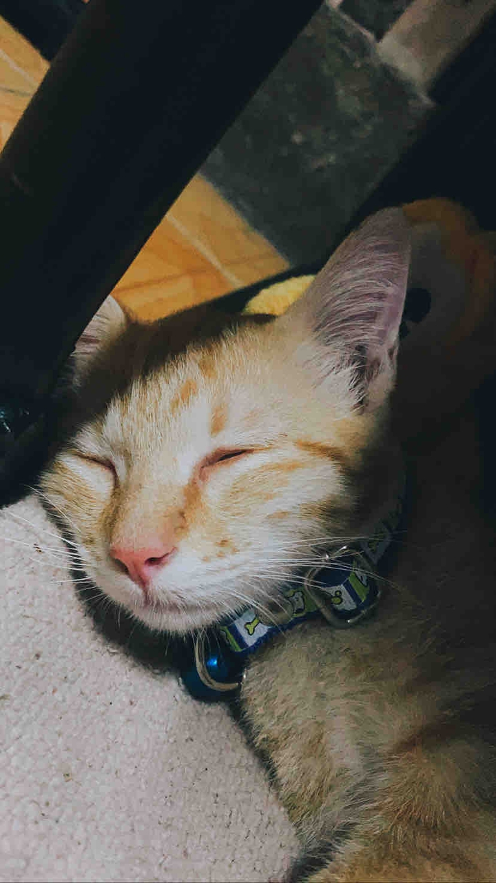 sleep.