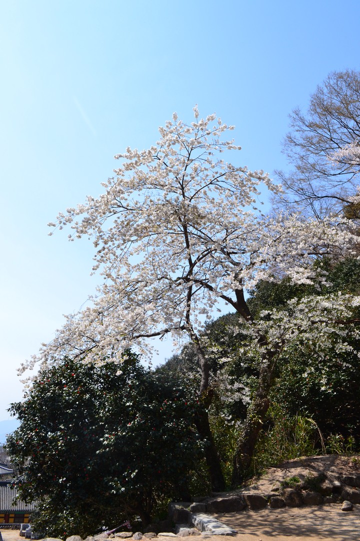 지리산이미지
