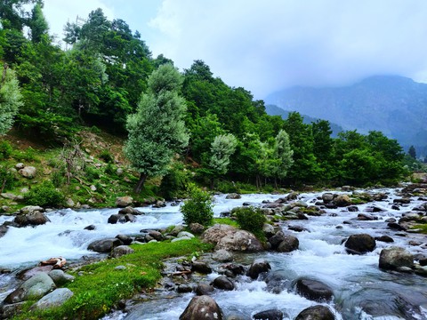 Nature