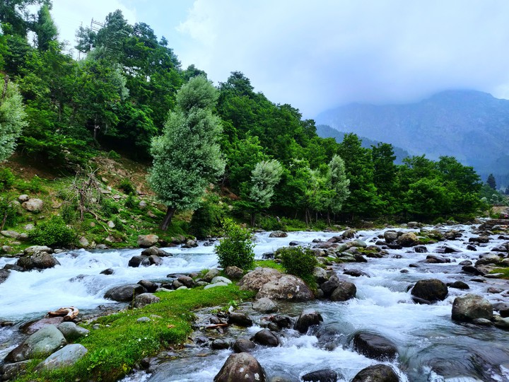 Nature