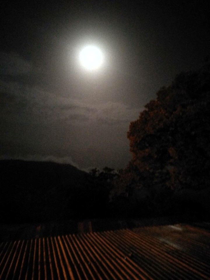 night