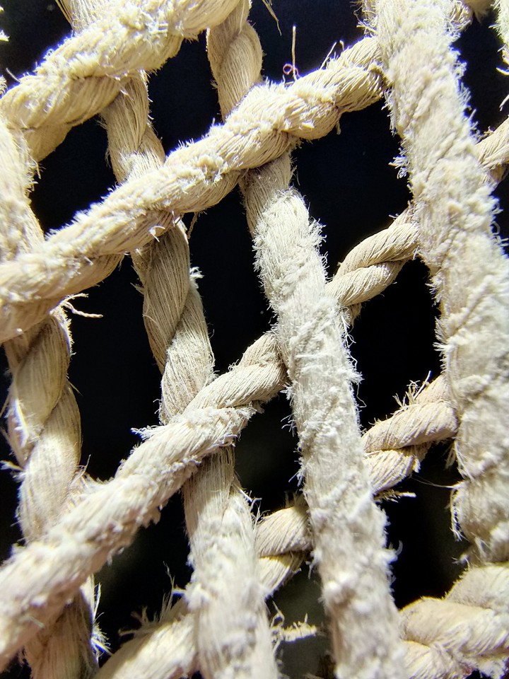 micro