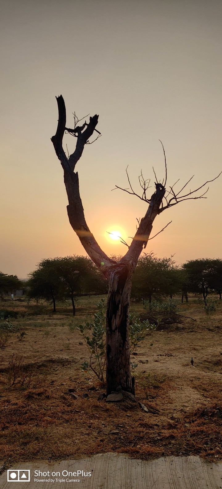 sun sets