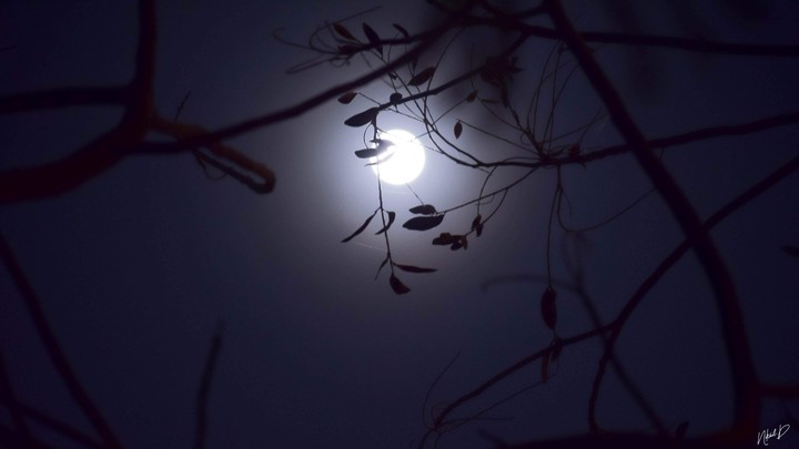 The Night Sky