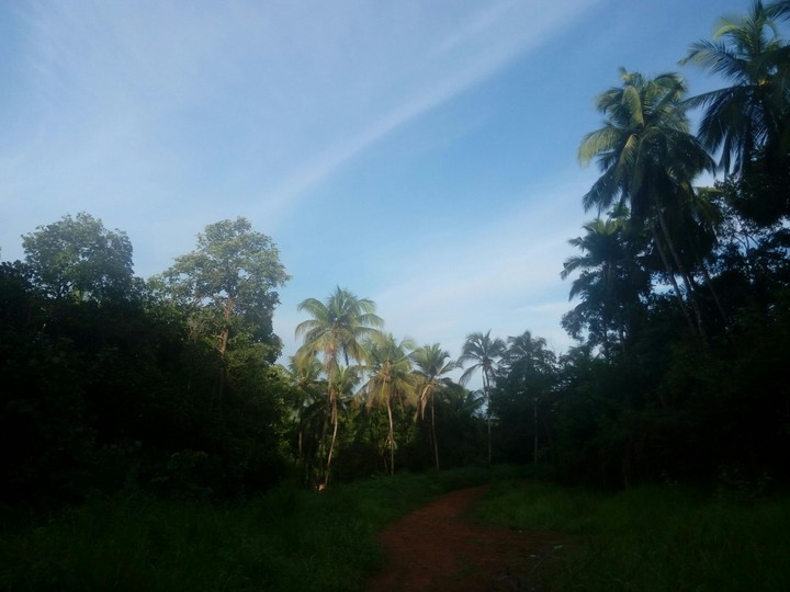 blue sky