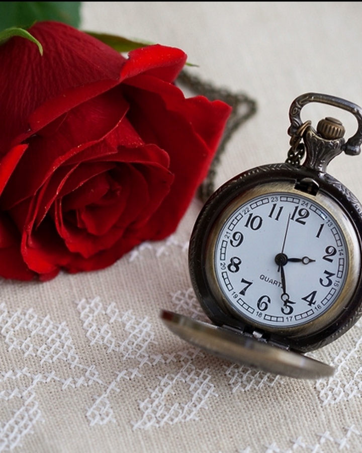 Y❤️  Everything in its time...