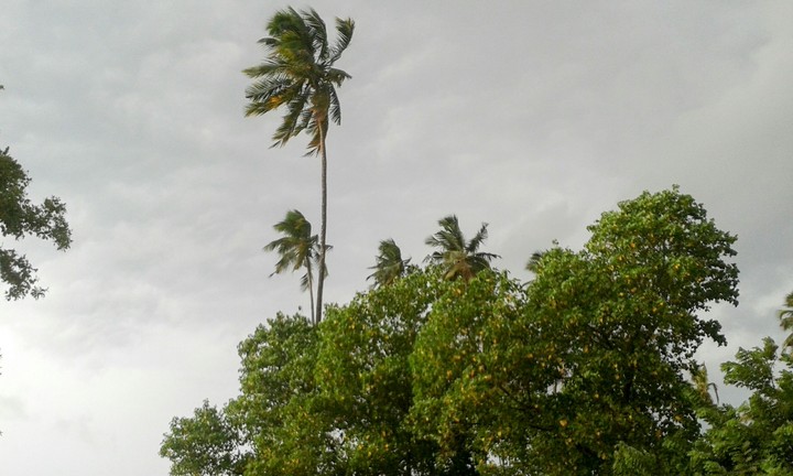 monsoon in goa
