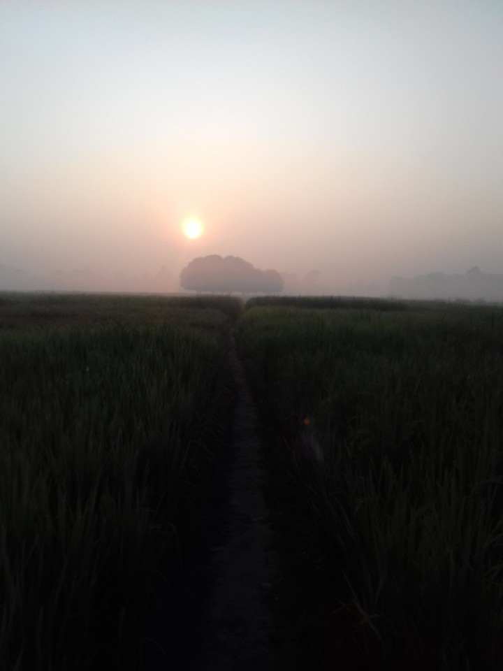 sun set..