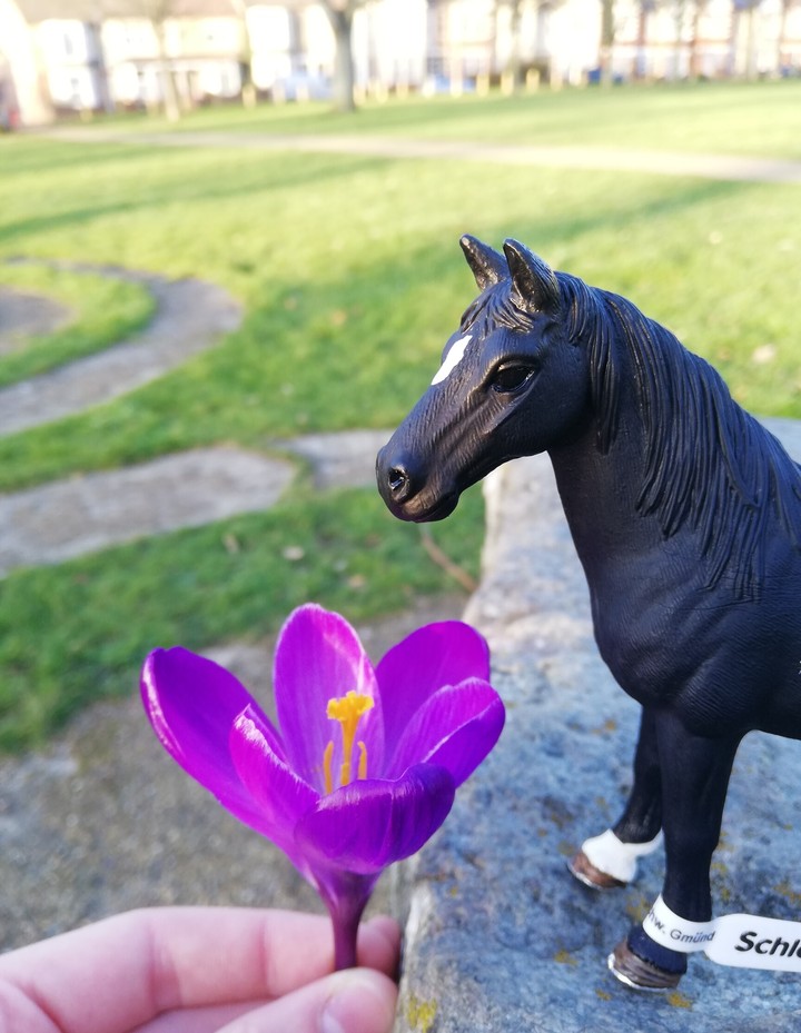 The smell of the flowers...mmm
