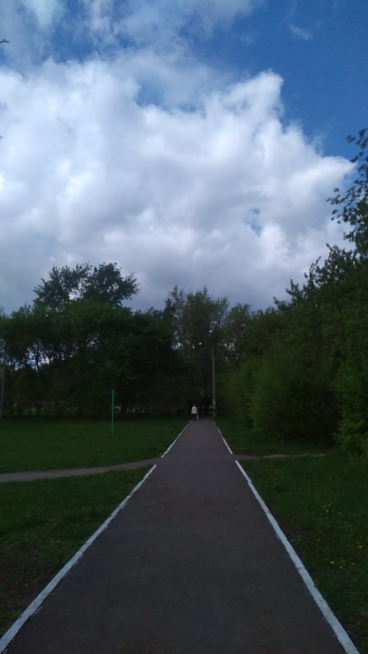 trees