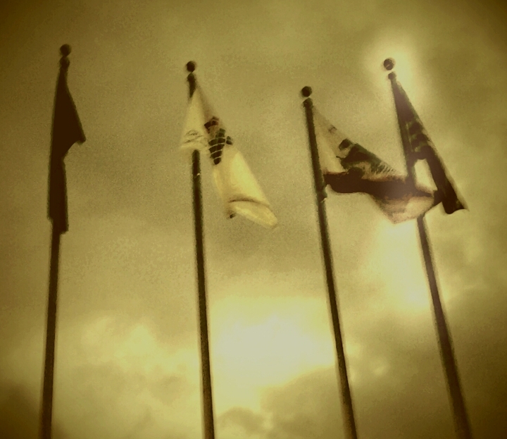 flahs on a cloudy day