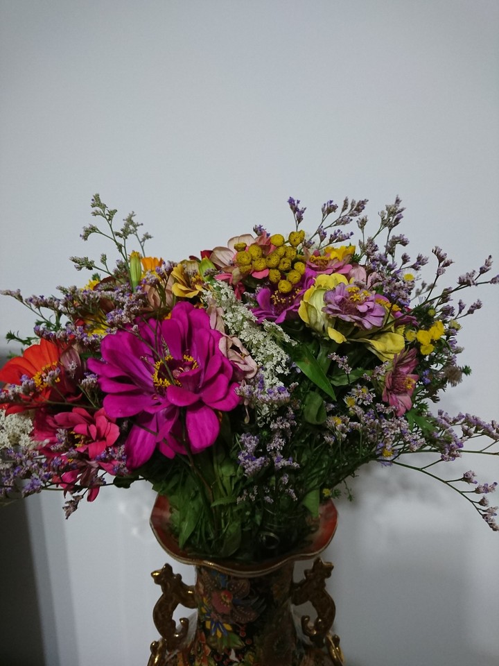 flowers