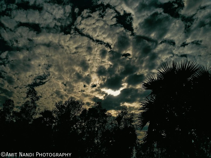 Skylight