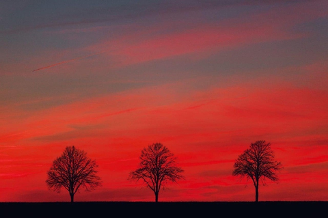 the sunset