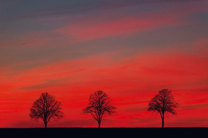 the sunset