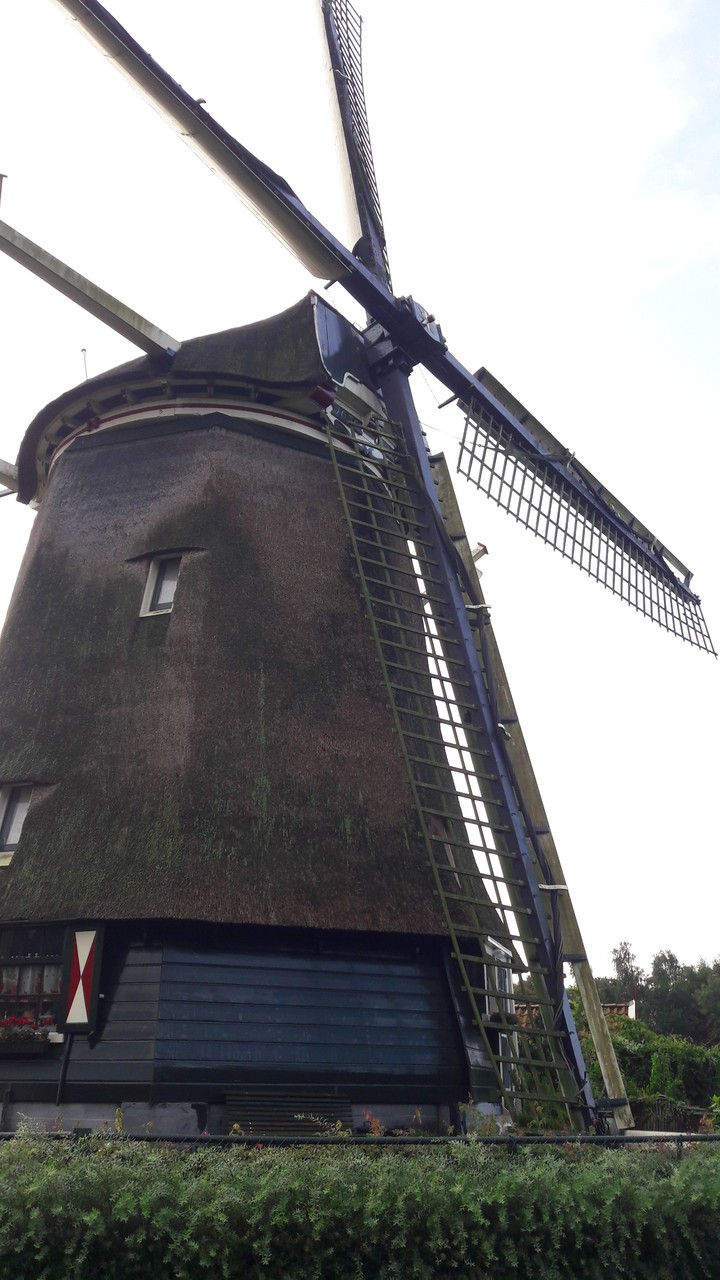 Windmühle