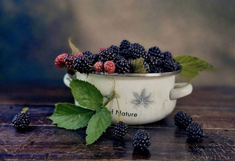 fondos de pantalla olallieberry, boysenberry