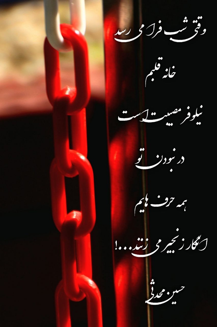نیلوفر مصیبت (Niloofar Misbat)