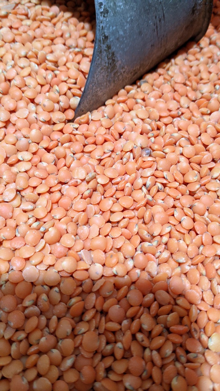 dal
