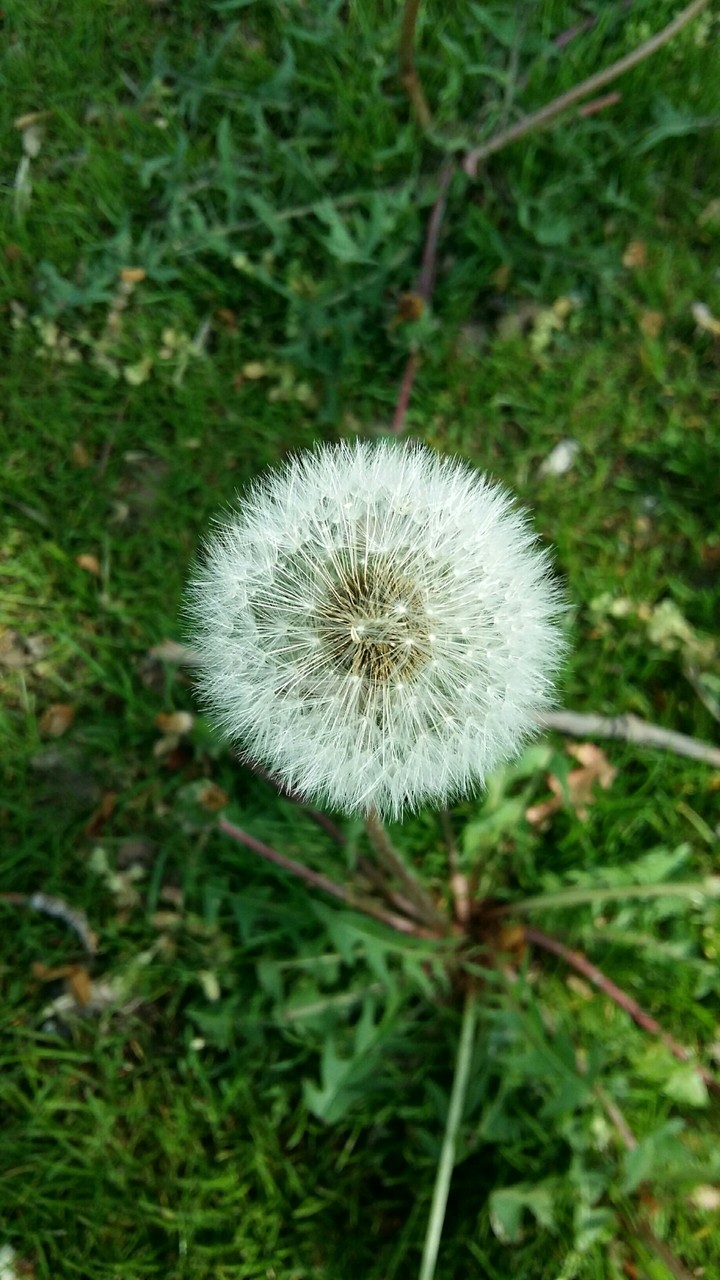 aaaaa
