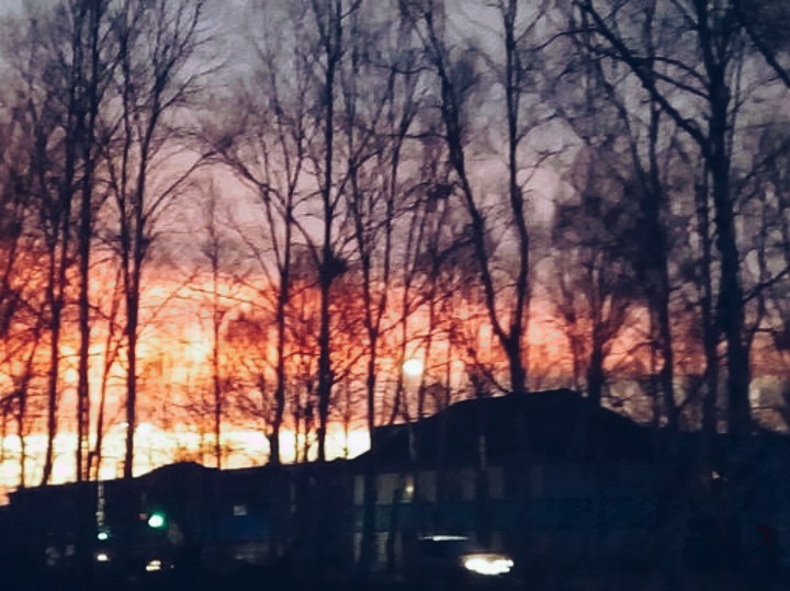 Home