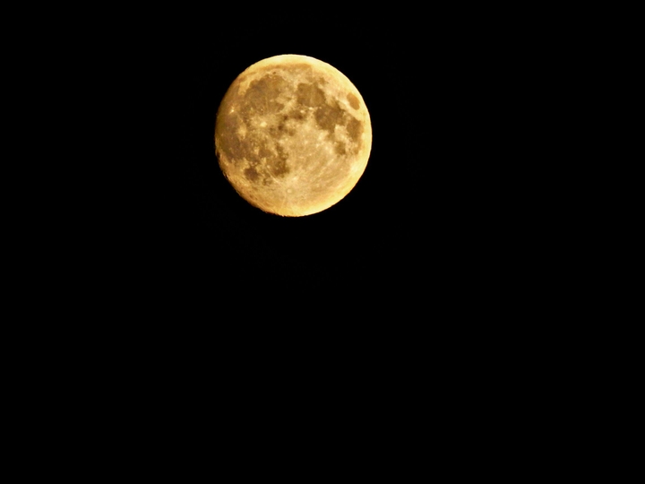 Moon