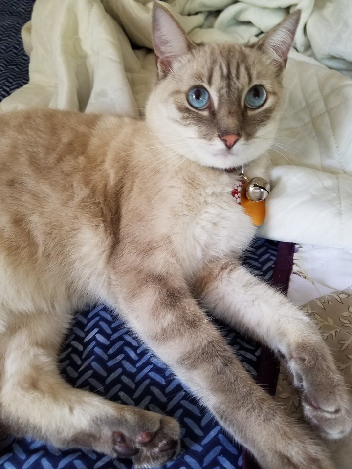 Nina