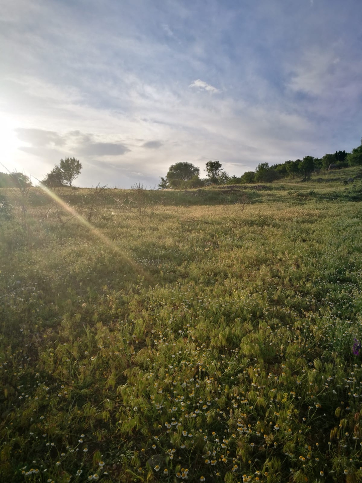 güneşli günler