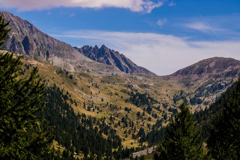 papéis de parede bridle, valley