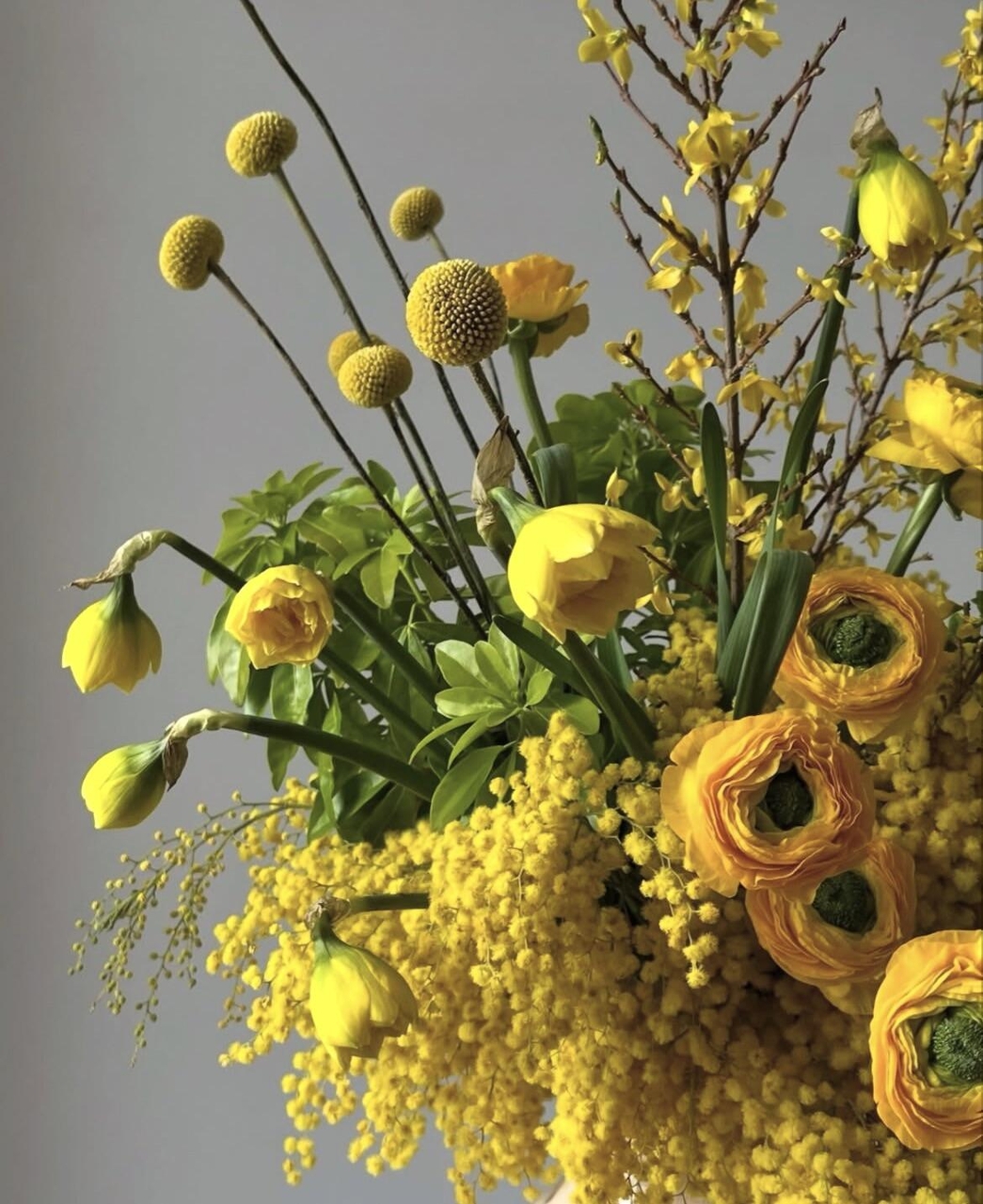 fondos de pantalla Vase, petal