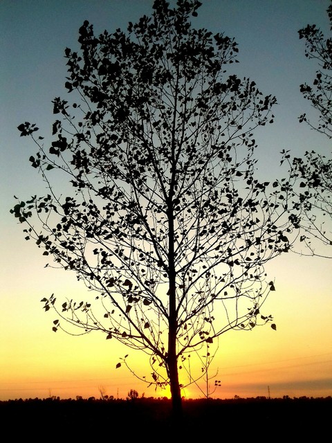 Sunset 97%