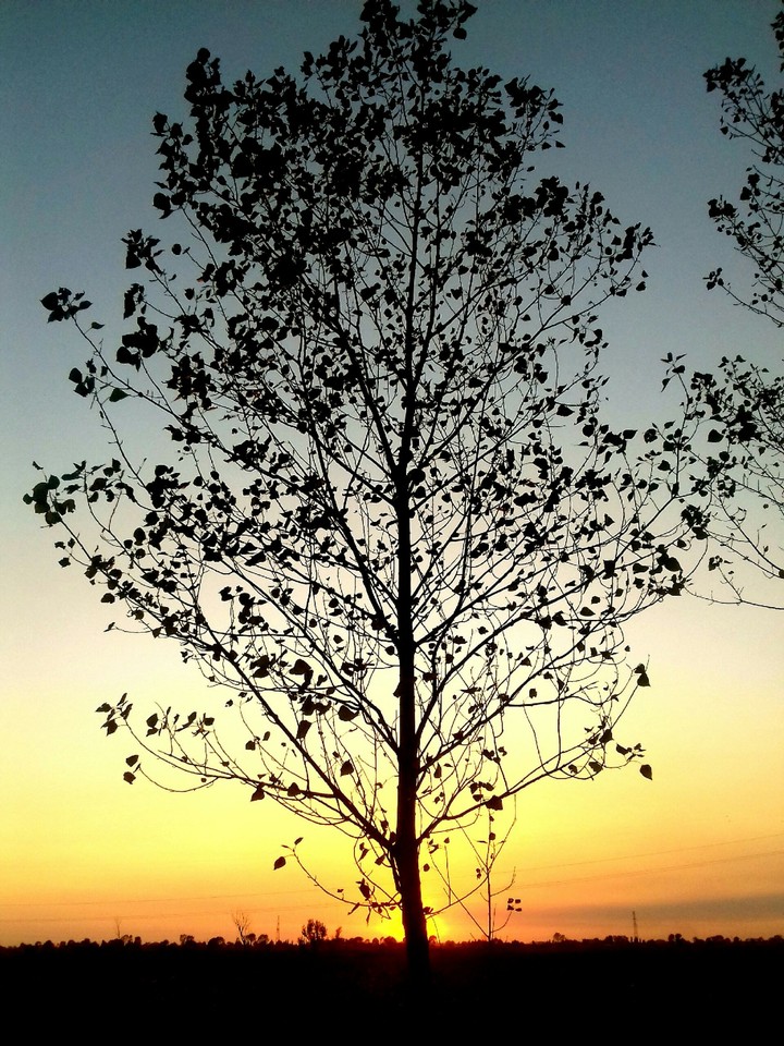 Sunset 97%