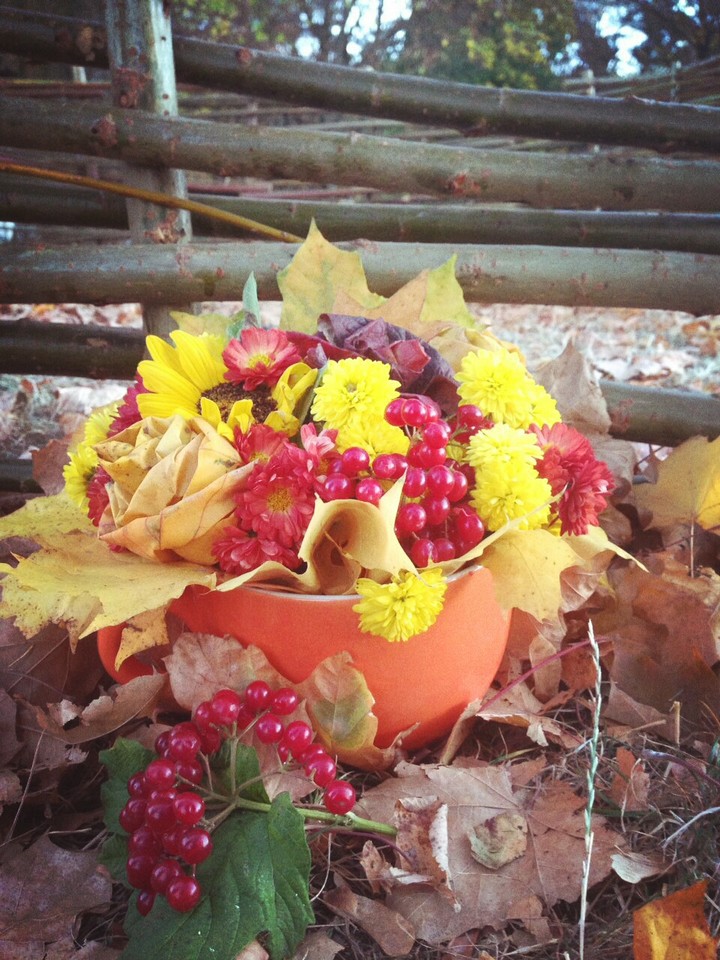 Feel the autumn  taste