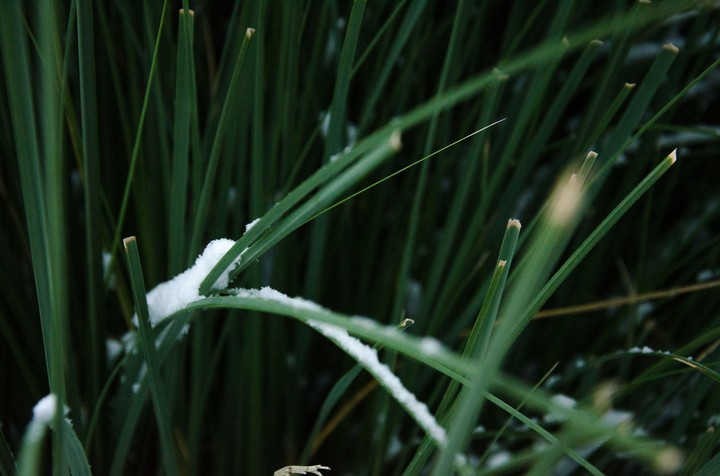 First Snow