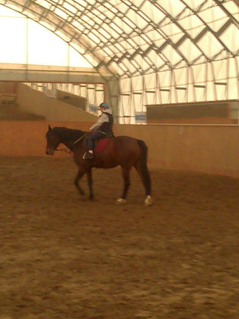 horse