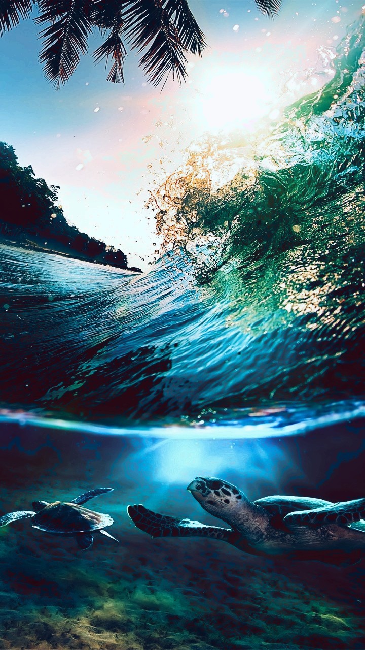 hd water