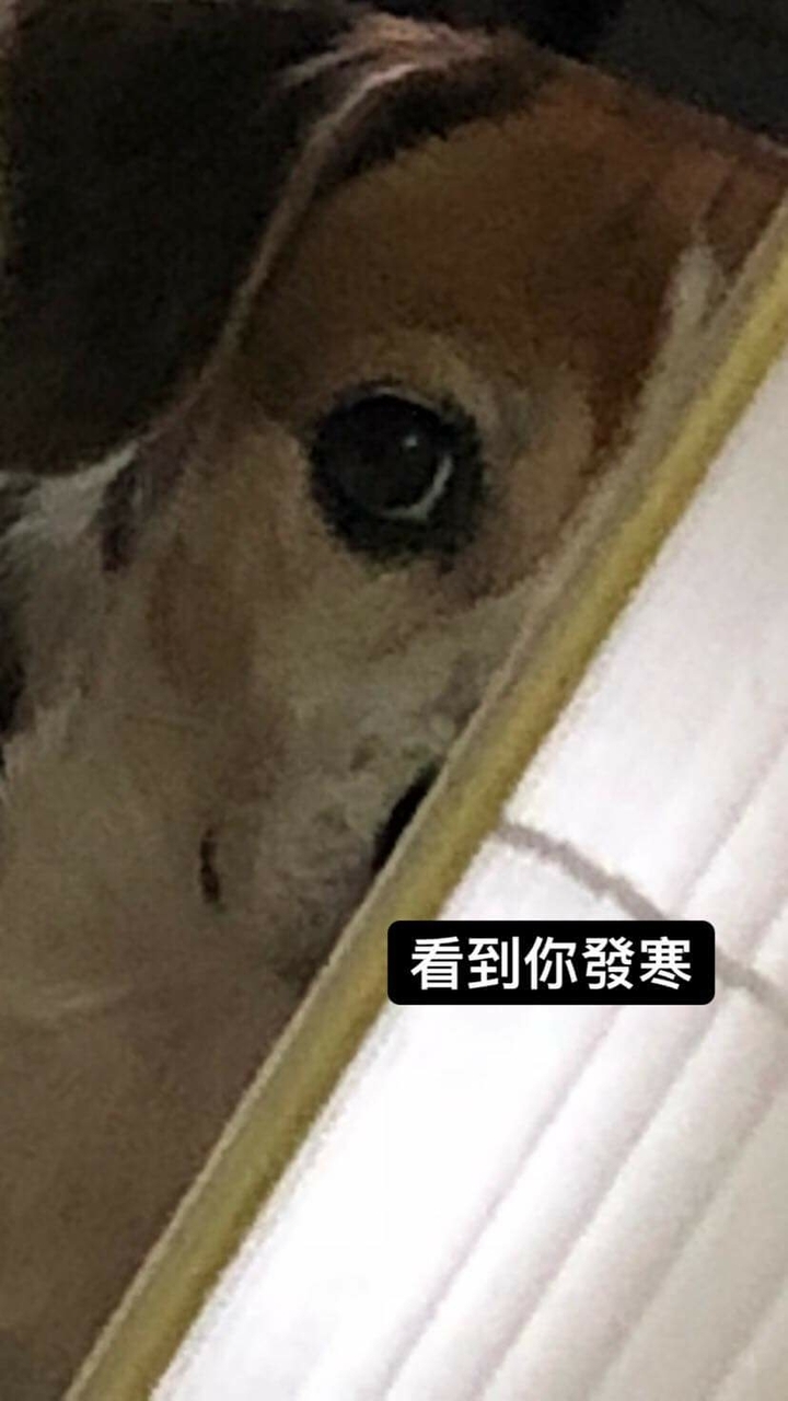 7月