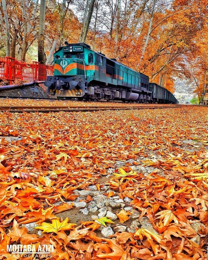 #پاییز  #الخریف             autumn#