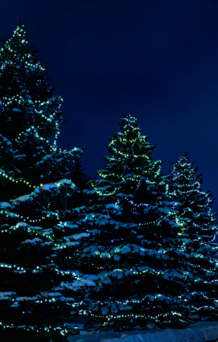 Christmas tree