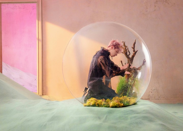 Concept Photo E version JUNGKOOK