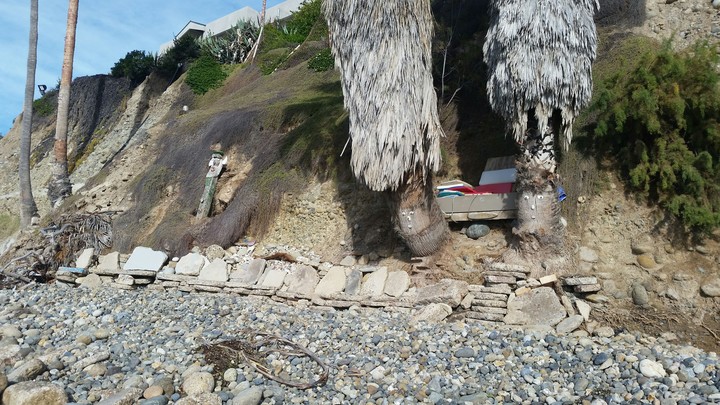 Bird Rock