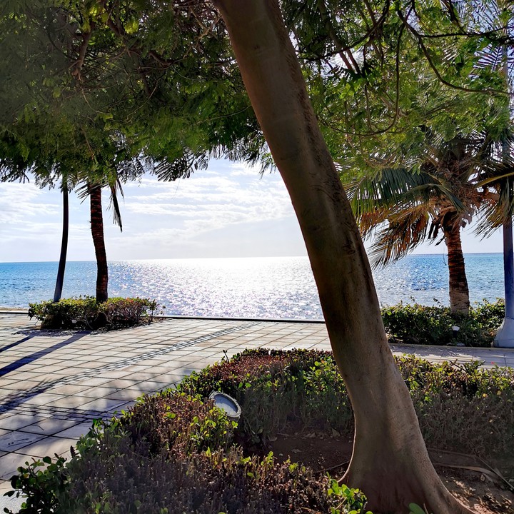 Beautiful beach in Saudi Arabia