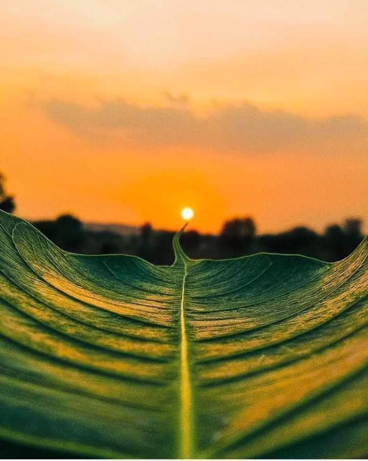 ةة