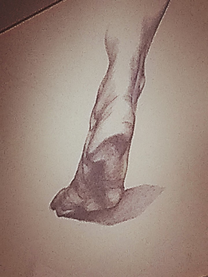 Foot
