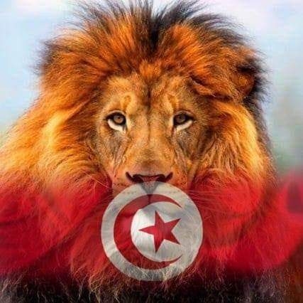 tunis
