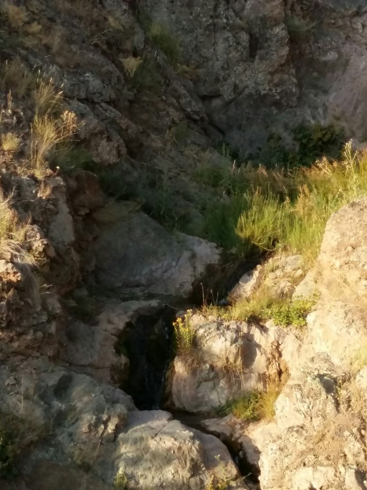 springs